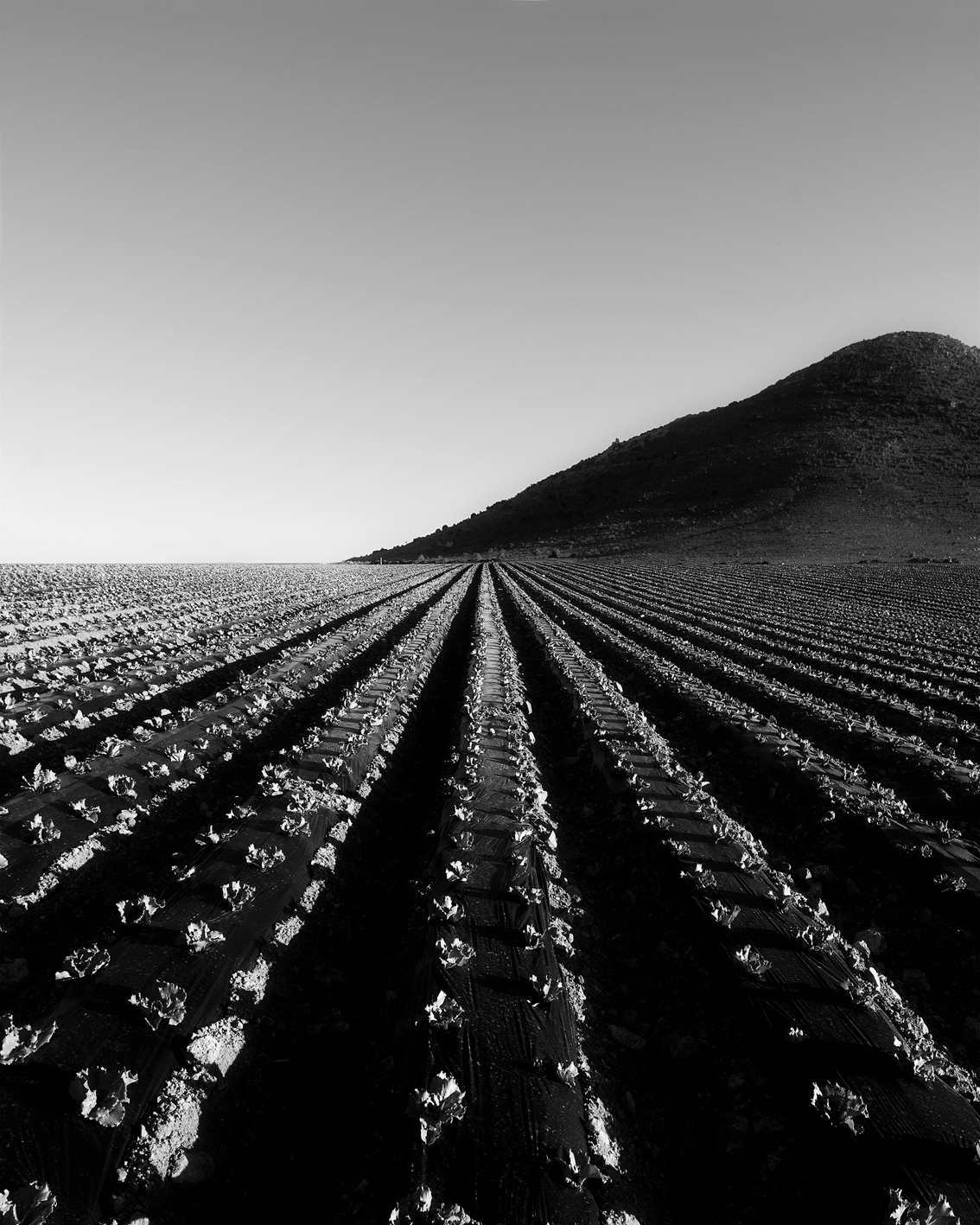 Paysage 4